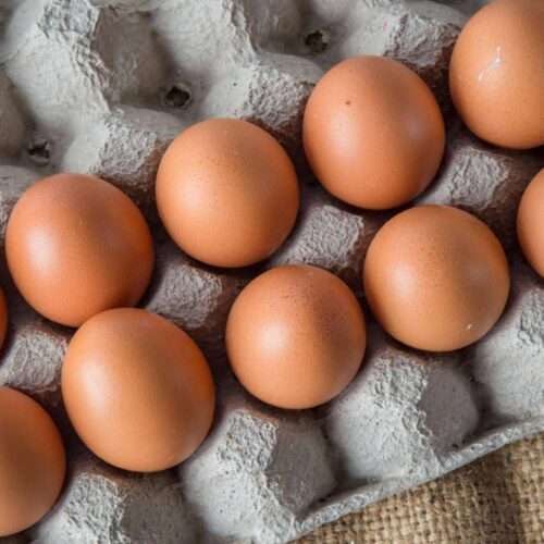 Free range chicken eggs