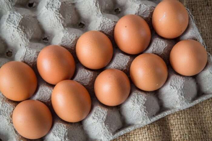 Free range chicken eggs