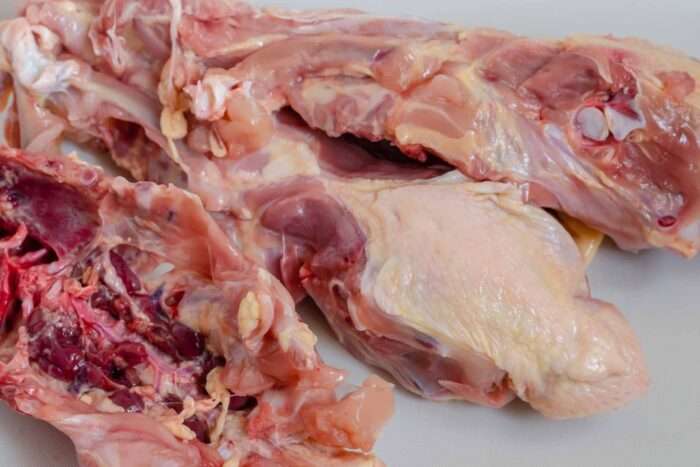 Free-Range Chicken Carcass