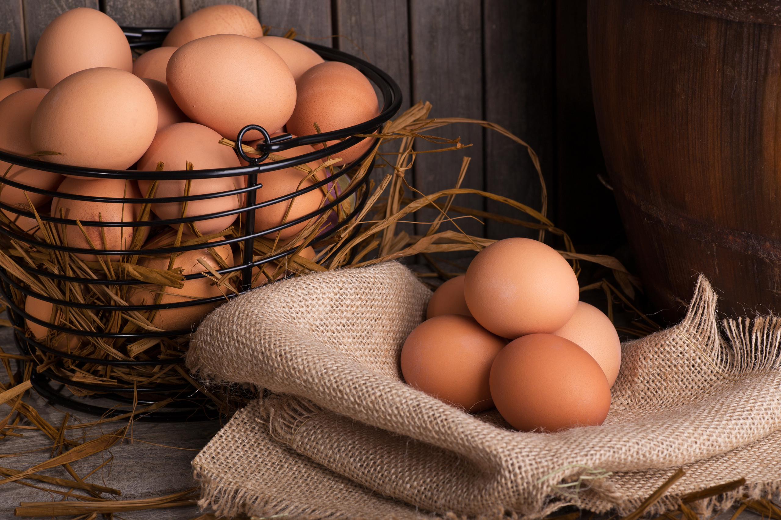 Free-Range Chicken Eggs and Duck Eggs