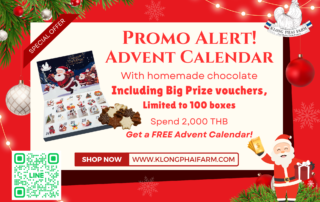 Advent Calendar Promo